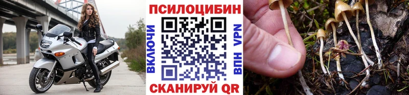 как найти наркотики  Семикаракорск  Галлюциногенные грибы Magic Shrooms 